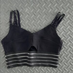 Bombshell Sportswear Black Crop Top with Sheer Accents